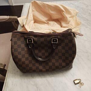 Louis Vuitton Speedy 30 Damier Ebene Canvas